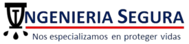 Ingeniería Segura